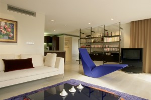 Form_Follows Function sydney city apartment